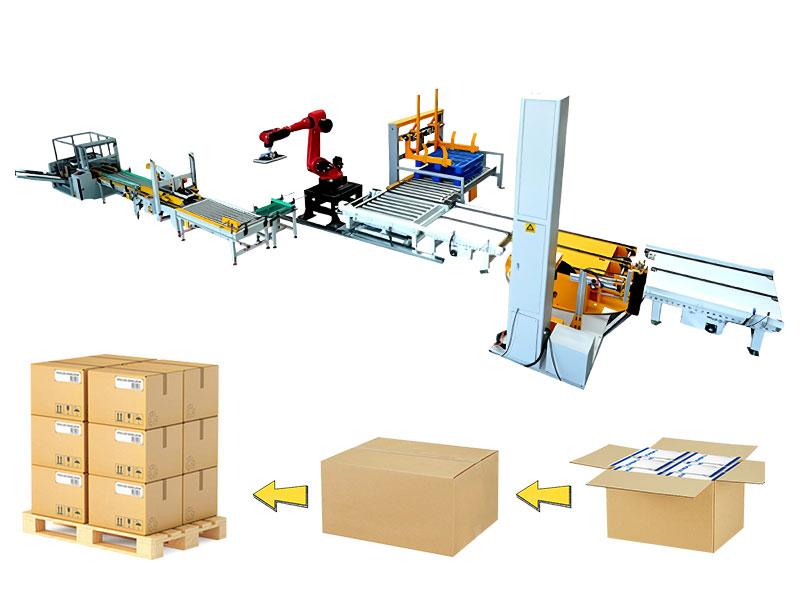 Automatic Robot Case Packer Palletizer Machine Packing System
